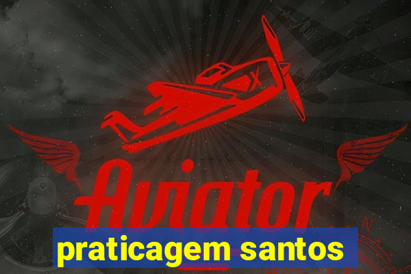 praticagem santos